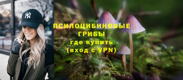 мяу мяу мука Вязьма